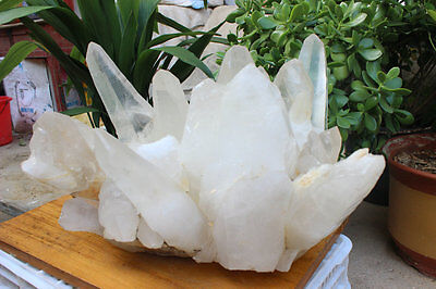 55kg 122LB HUGE NATURAL WHITE CLEAR QUARTZ CRYSTAL CLUSTER POINTS ORIGINAL Brazil