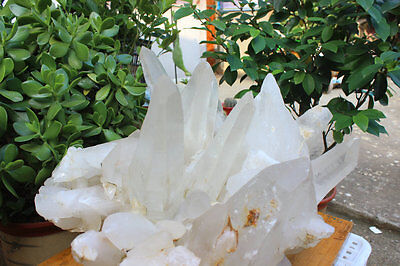 55kg 122LB HUGE NATURAL WHITE CLEAR QUARTZ CRYSTAL CLUSTER POINTS ORIGINAL Brazil