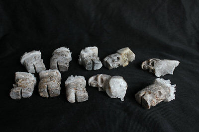 20 Pieces Natural Clear Quartz Crystal Cluster Skulls Carved Head Sculpture Healing Wholesales Lot