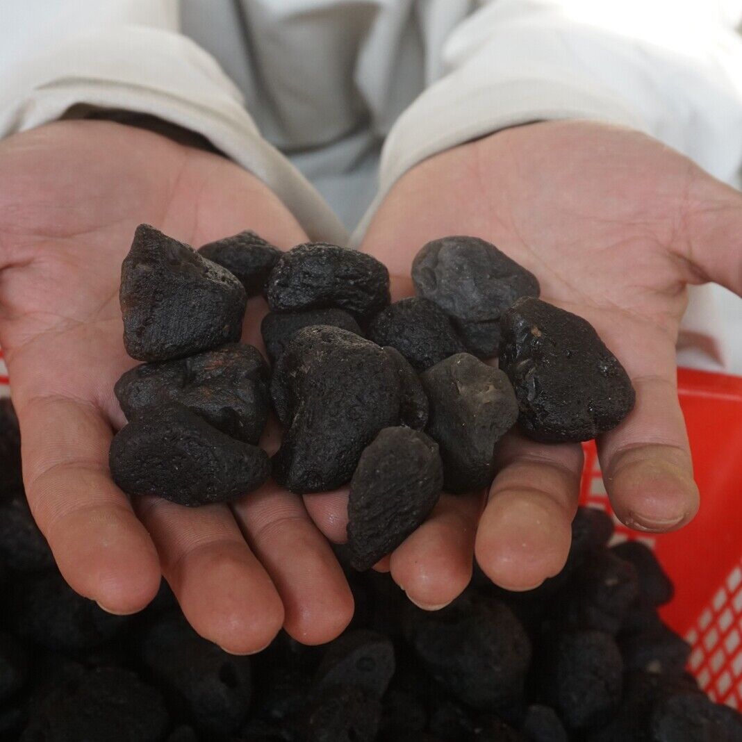 2kg 80-90Pieces Rare Sirian Meteorite Tektite Stone Specimen Wholesale Indonesia