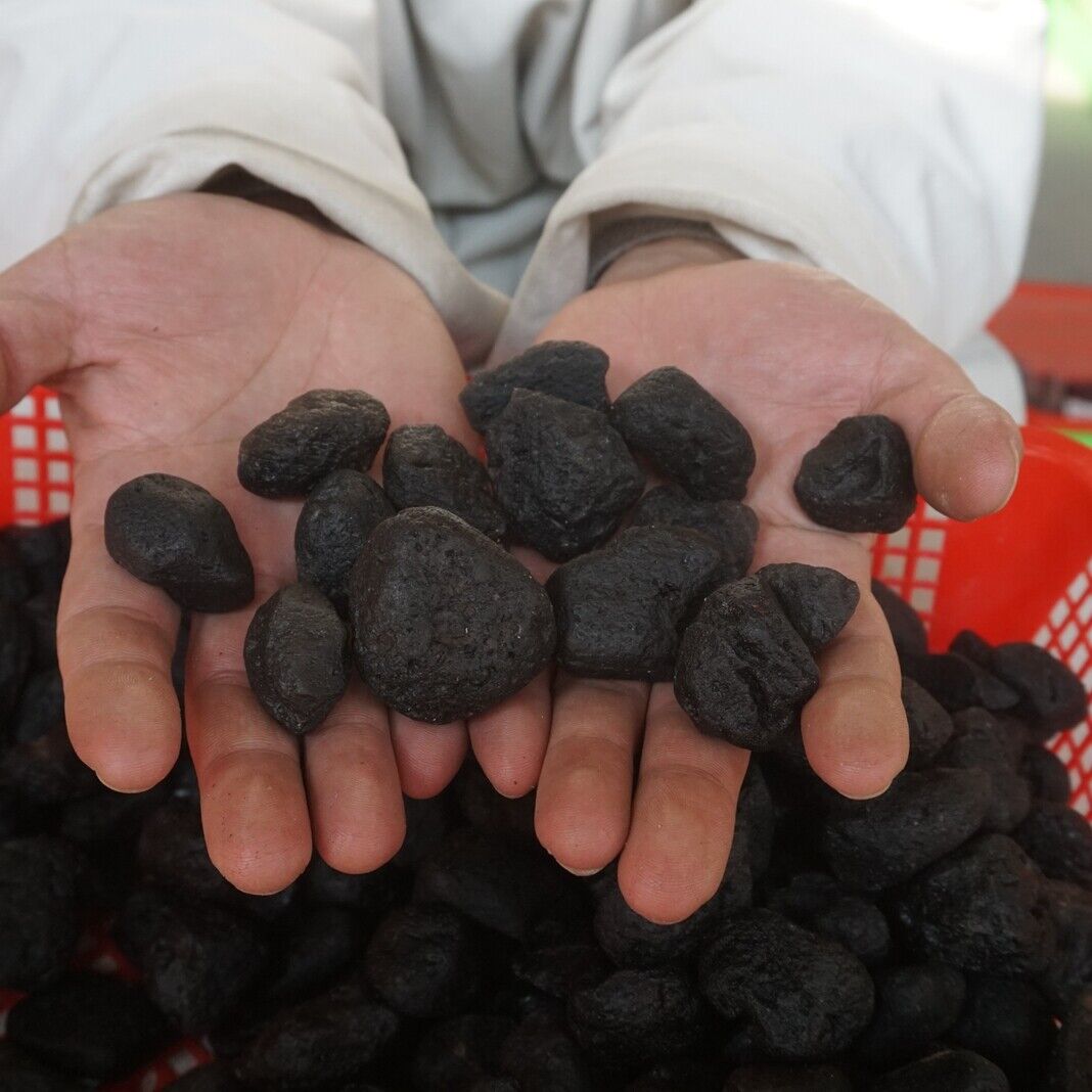 2kg 80-90Pieces Rare Sirian Meteorite Tektite Stone Specimen Wholesale Indonesia