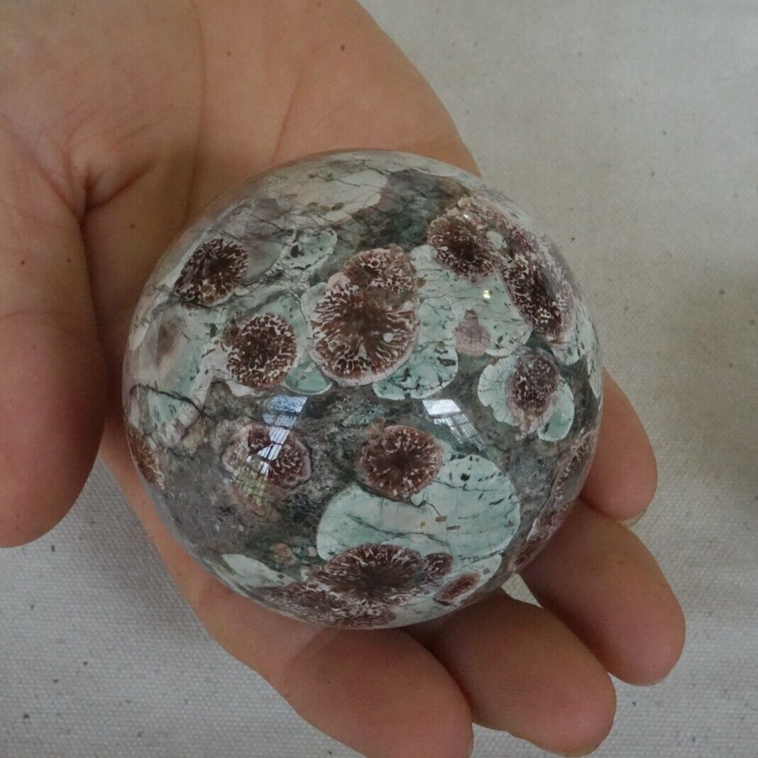 2KG 4.4LB 8Pcs Natural Green Sakura Jasper Crystal Sphere Balls Healing Russia Bulk