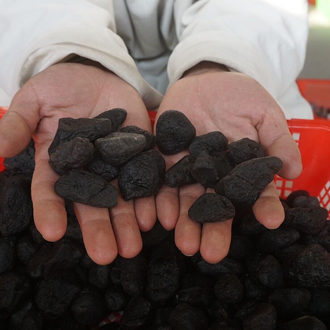 2kg 80-90Pieces Rare Sirian Meteorite Tektite Stone Specimen Wholesale Indonesia