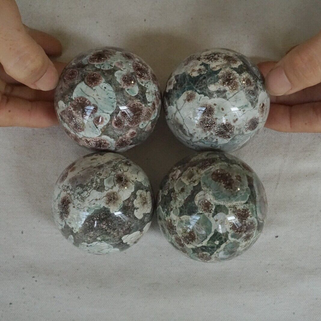 2KG 4.4LB 8Pcs Natural Green Sakura Jasper Crystal Sphere Balls Healing Russia Bulk