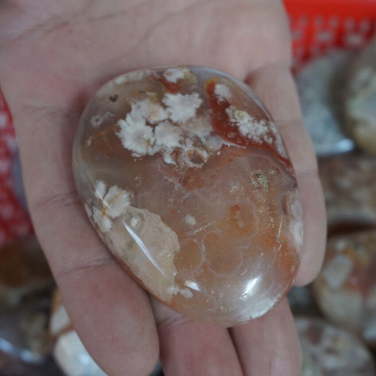 5KG 11LB Natural Ghost Carnelian Flower Agate Crystal Tumbled Palm Stone Healing