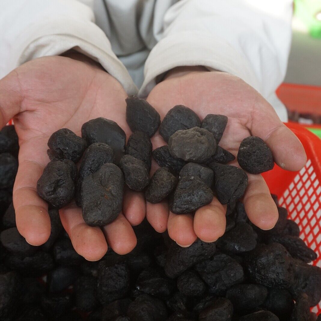 2kg 80-90Pieces Rare Sirian Meteorite Tektite Stone Specimen Wholesale Indonesia