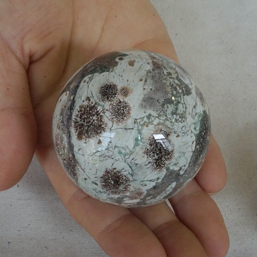 2KG 4.4LB 8Pcs Natural Green Sakura Jasper Crystal Sphere Balls Healing Russia Bulk