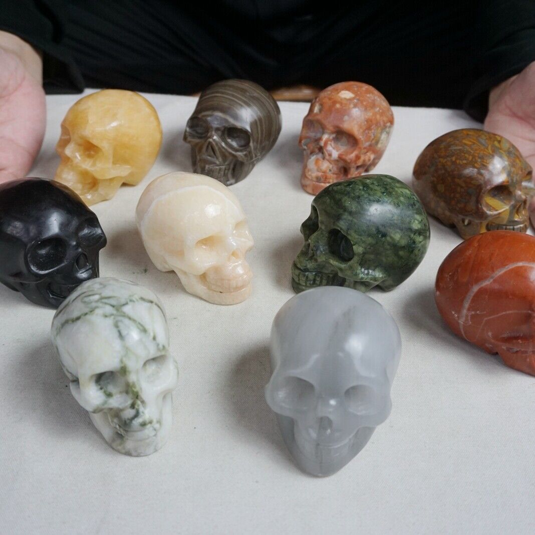 11LB 10Pcs Natural Jasper Calcite Skulls Crystal Carving Mixed Stones Healing