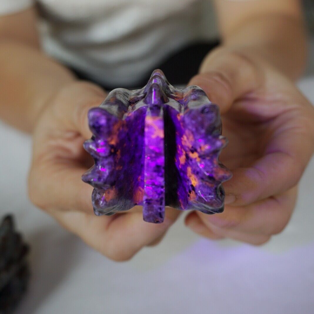 10Pcs Yooperlite Fire Stone Crystal Dragon Head Flashing Flame Under Ultraviolet